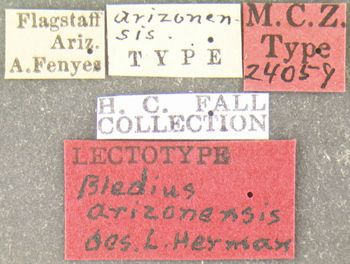 Media type: image;   Entomology 24059 Aspect: labels